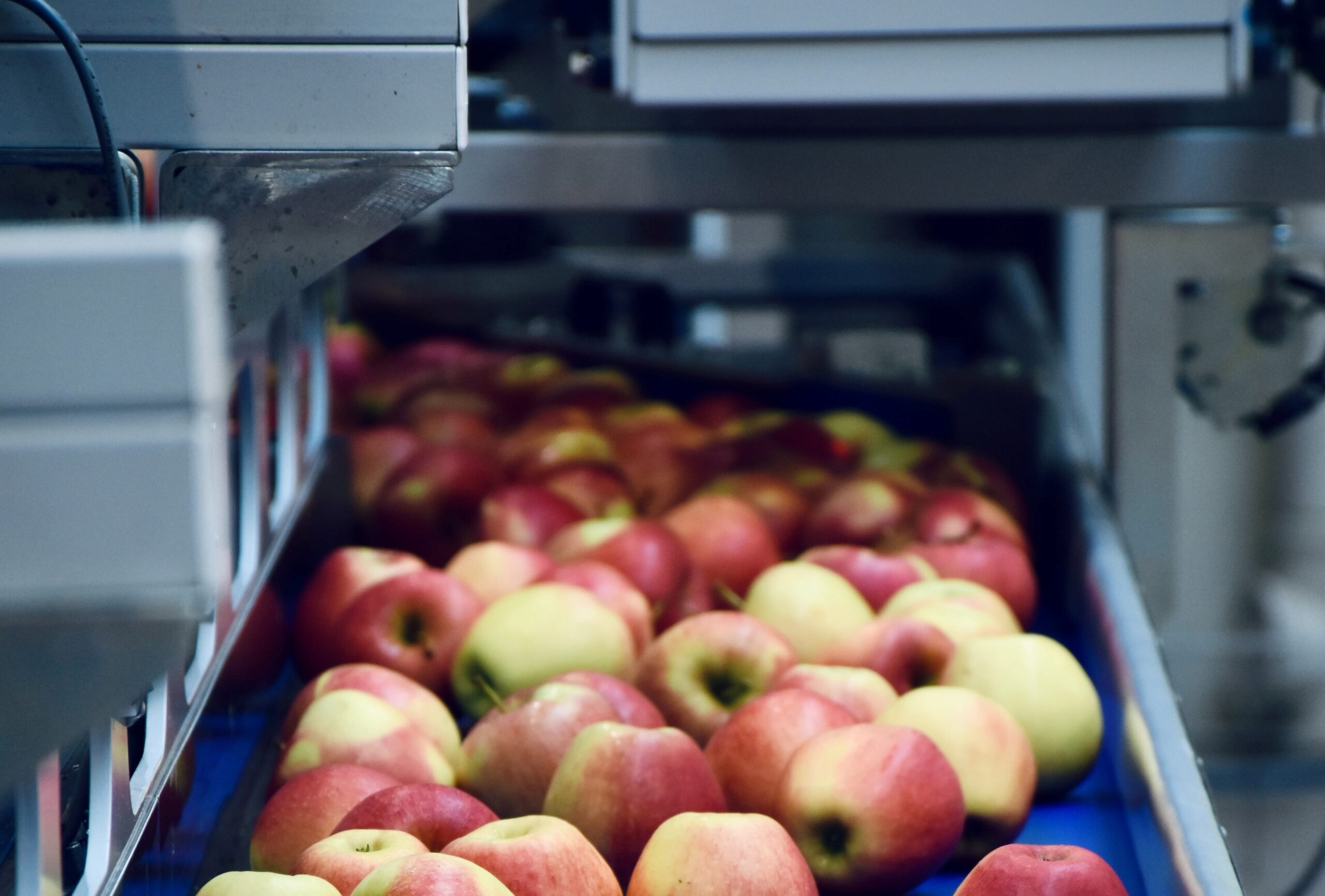 lavorazioni per industria alimentare